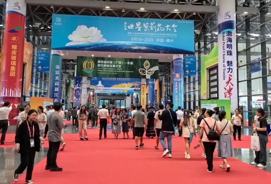 图片关键词 图片