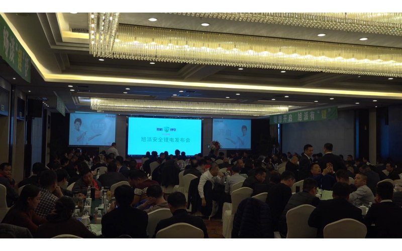 安全才是真“锂”杏耀安全锂电发布会